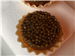 beef tartare and caviar canape